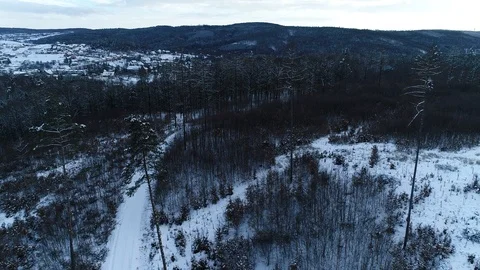 Winter woods from above. Video stock 102053230