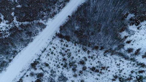 Winter woods from above. Video stock 102053286