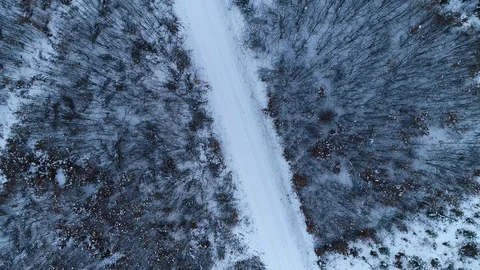 Winter woods from above. Video stock 102053293