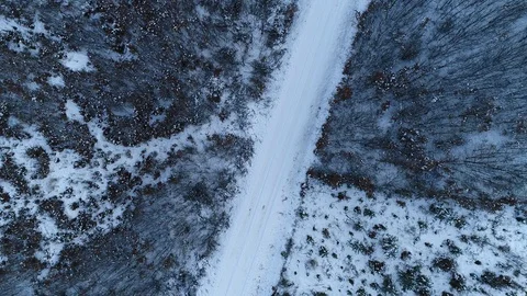 Winter woods from above. Video stock 102053834