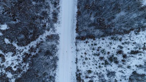 Winter woods from above. Video stock 102053930