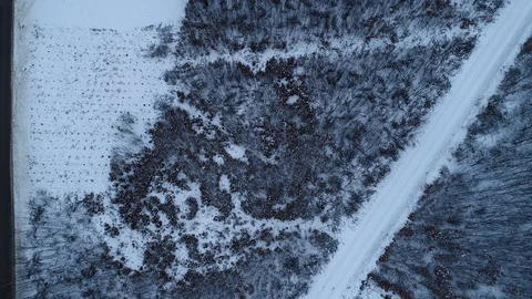 Winter woods from above. Video stock 102054435