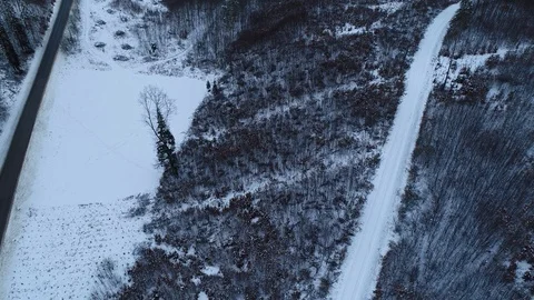 Winter woods from above. Video stock 102054746