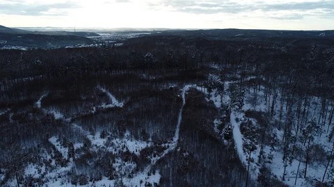 Winter woods from above. Video stock 102055170