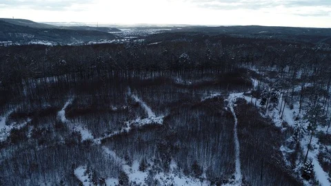 Winter woods from above. Video stock 102055555