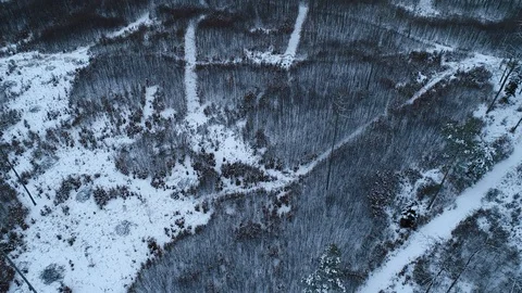 Winter woods from above. Stock Footage 102056924