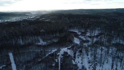 Winter woods from above. Stock Footage 102056999