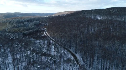 Winter woods from above. Stock Footage 102057518