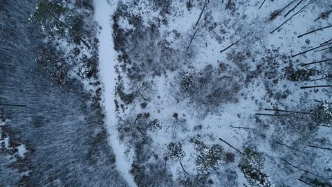 Winter woods from above. Stock Footage 102057534