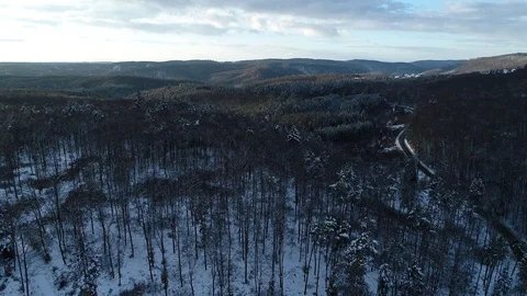 Winter woods from above. Stock Footage 102057646