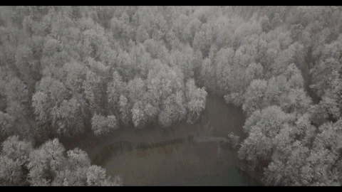 Winter in the woods Stock Footage 130159000