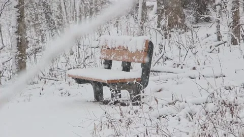 Winter Woods Park Bench Through Branches Video stock 232875758