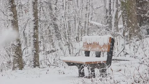 Winter Woods Trailside Park Bench Video stock 232875891
