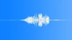 Winter Wren Singing Sound Effect