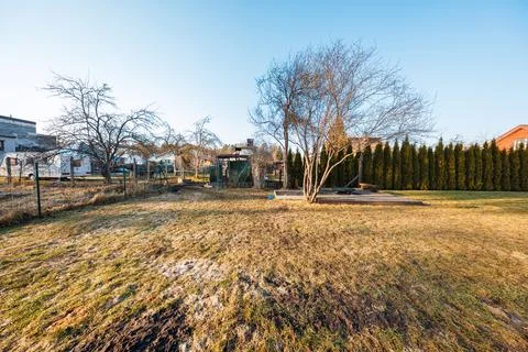 Winter yard with firepit, bare trees, patio, and conifer hedges Stock Photos