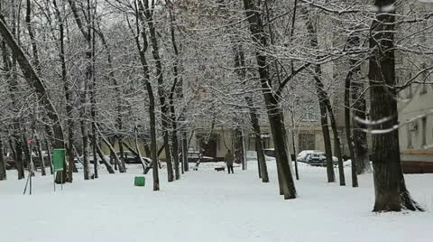 Winter yard Stock Footage 21879826