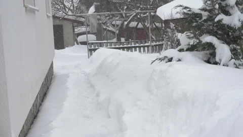 Winter in the yard Stock Footage 252664515