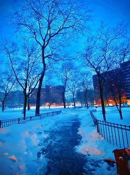 Winter year Foto stock