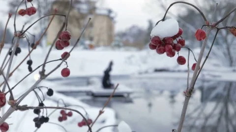 Winter yoga session. Man in black Video stock 83916288