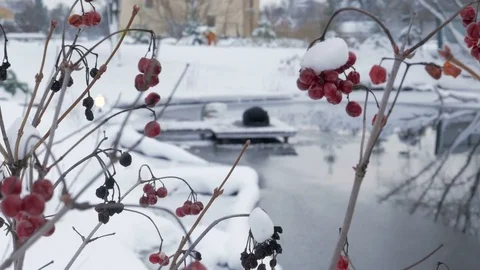Winter yoga session. Man in black Video stock 83916454