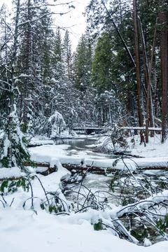 Winter in Yosemite Stock Photos