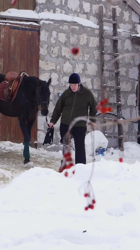 Winter, a young disabled man leads a black thoroughbred horse. he has a Stock Footage 315364895