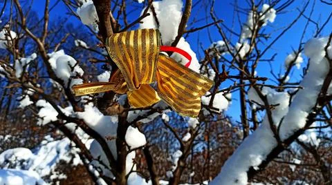 Winter05 Stock Photos