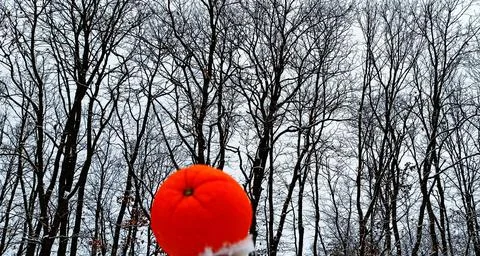 Winter06 Stock Photos