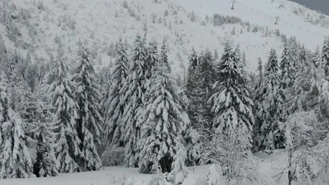 Winter10' Video stock 163162767