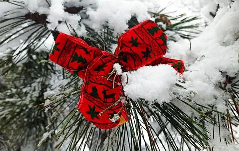 Winter12 Stock Photos