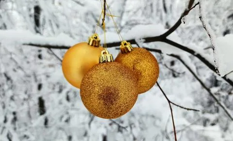 Winter13 Stock Photos