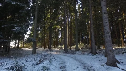 Winter2 Stock Footage 143836809