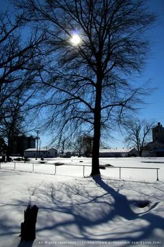 Winter2021-1 Stock Photos