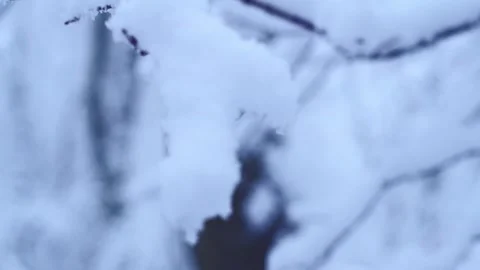 Winter3 Stock Footage 300286779