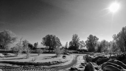 Winter3 Stock Photos