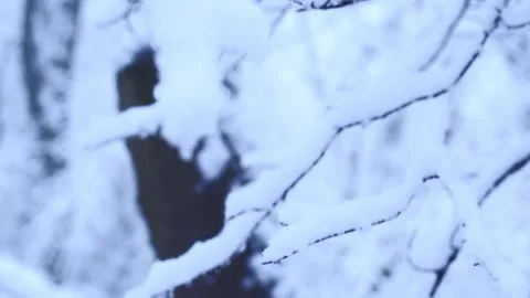 Winter4 Stock Footage 300286655