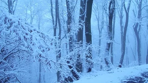 Winter5 Stock Footage 300286858