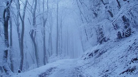 Winter6 Stock Footage 300286876