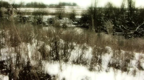 Winter_landscape_15 Video stock 329119