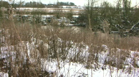 Winter_landscape_16 Video stock 329135