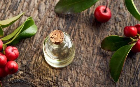 Wintergreen essential oil on a rustic table Stock Photos