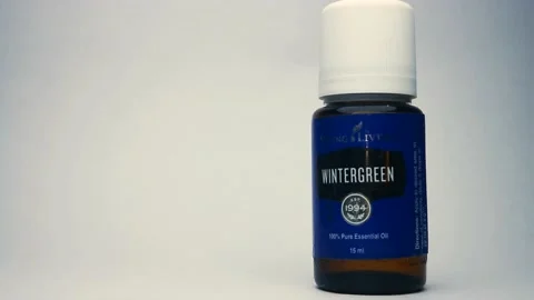 WINTERGREEN Stock Footage 143097050