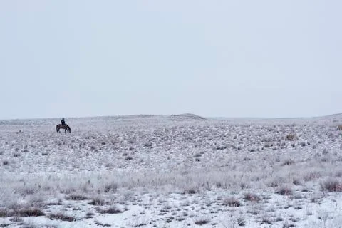 Wintering. Stock Photos