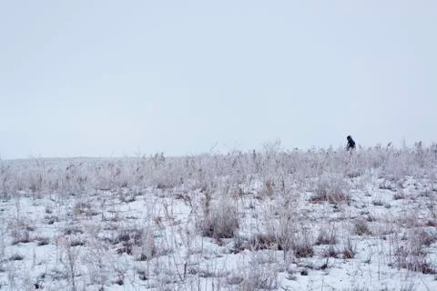 Wintering. Stock Photos