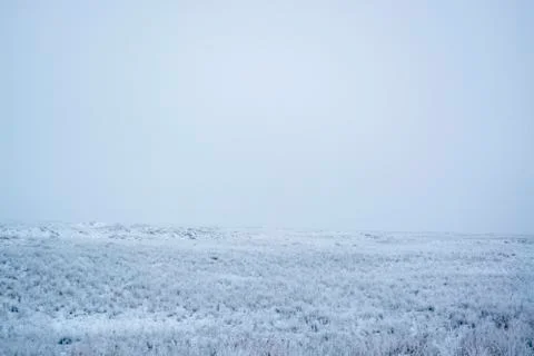 Wintering. Stock Photos