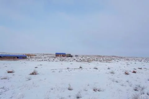 Wintering. Stock Photos