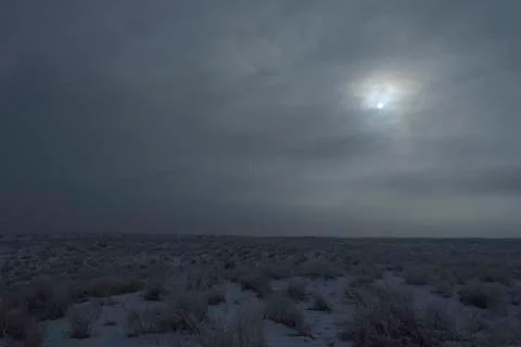 Wintering. Stock Photos