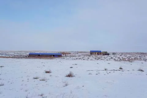 Wintering. Stock Photos