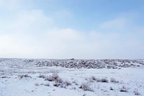 Wintering. Stock Photos