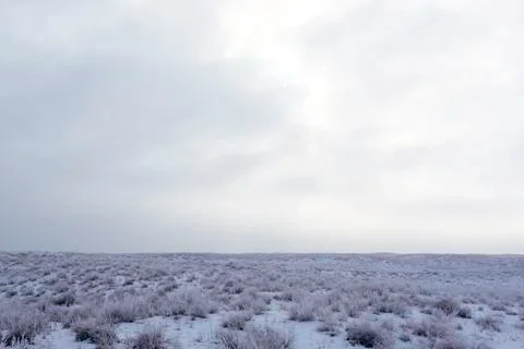 Wintering. Stock Photos